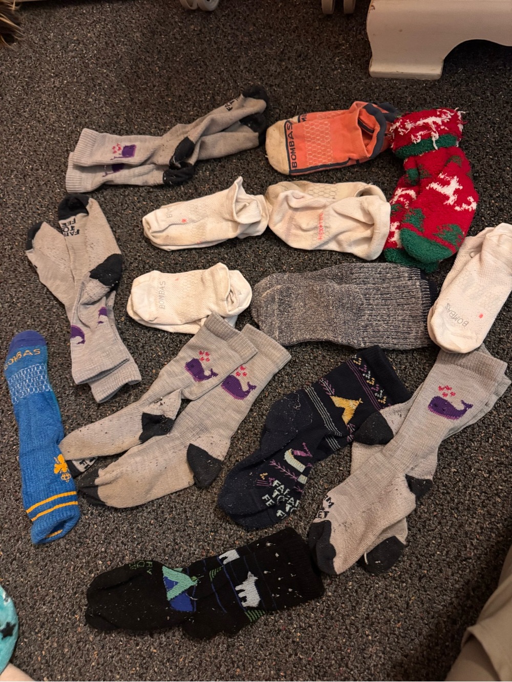 14 pairs girls socks BOMBAS and farm to feet